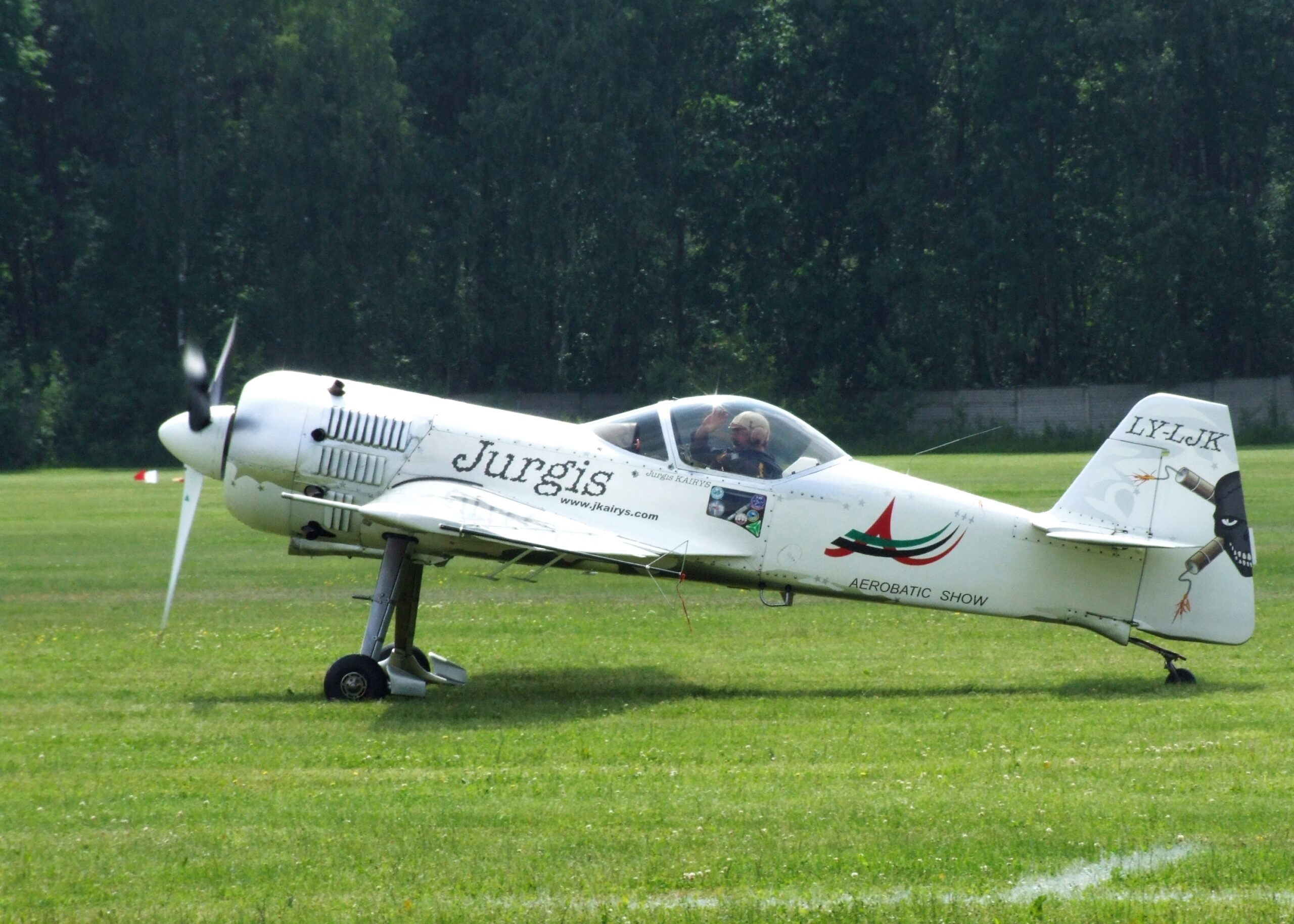 Sukhoi Su 31: High-Performance Aerobatic Aircraft